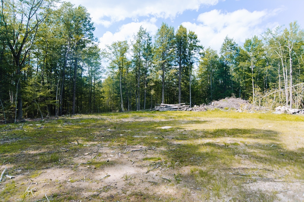 Lot 2 Bissell Rd Property Photo 1