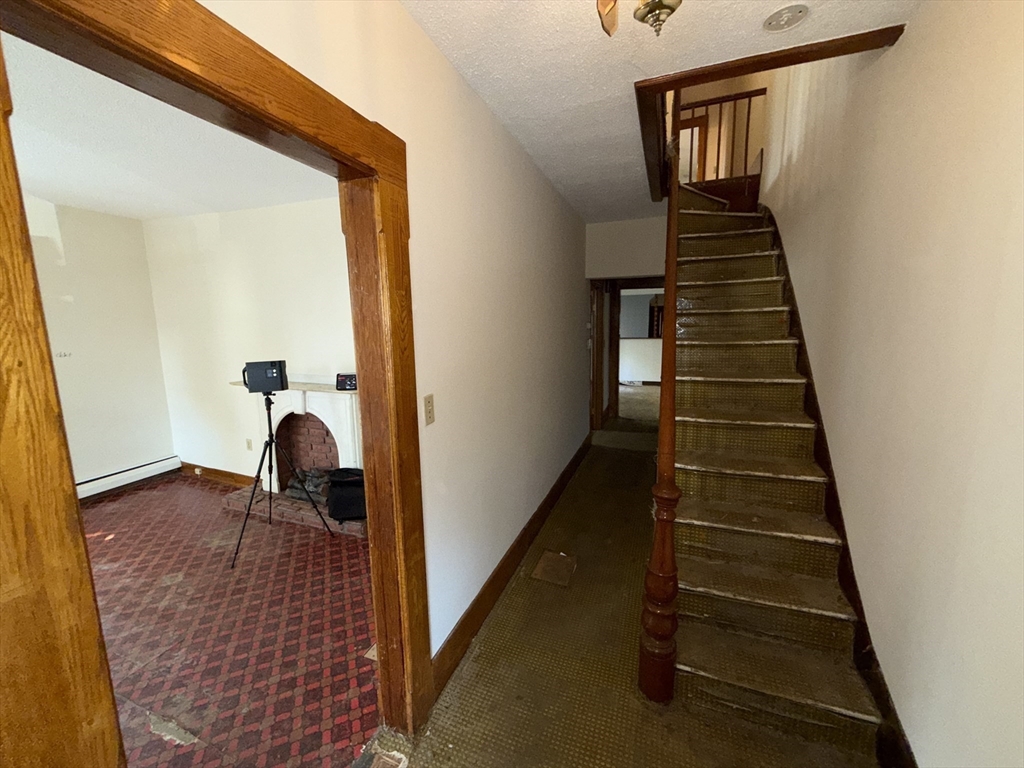57-59 Myrtle St Property Photo 15