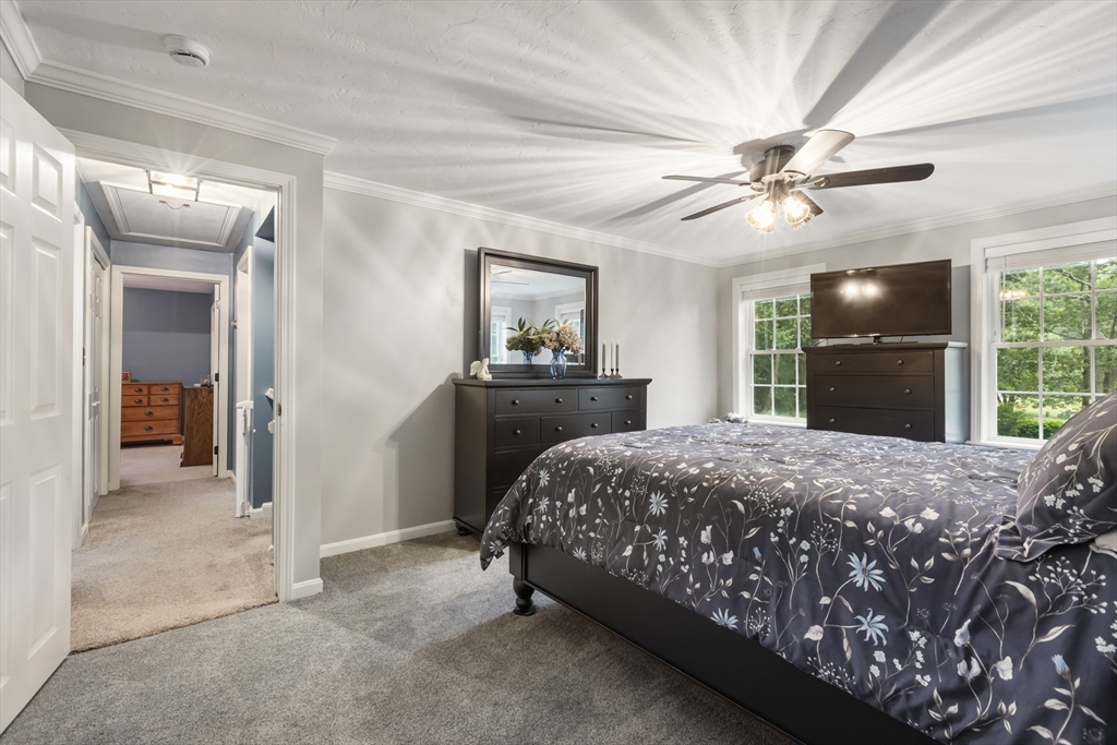 6 Mccann Place Property Photo 25