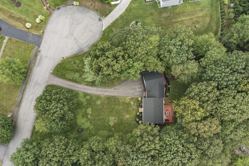 6 Mccann Place Property Photo 38