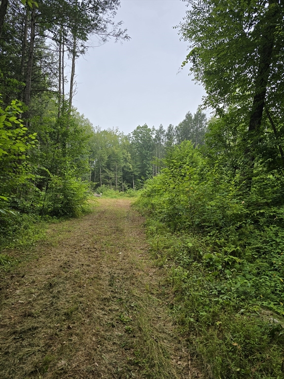 38 County Road Property Photo 1