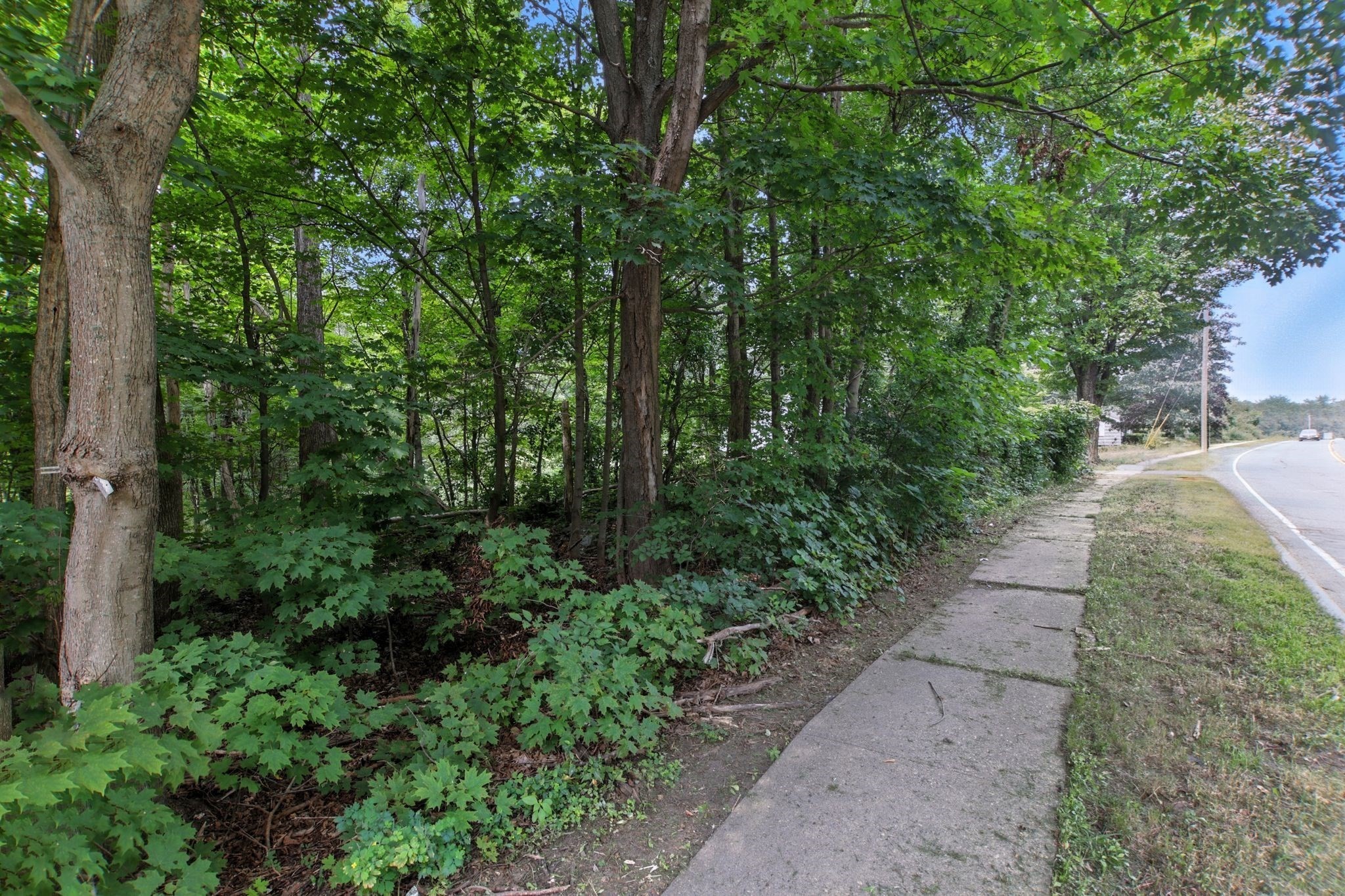 0 Shearer Property Photo 18