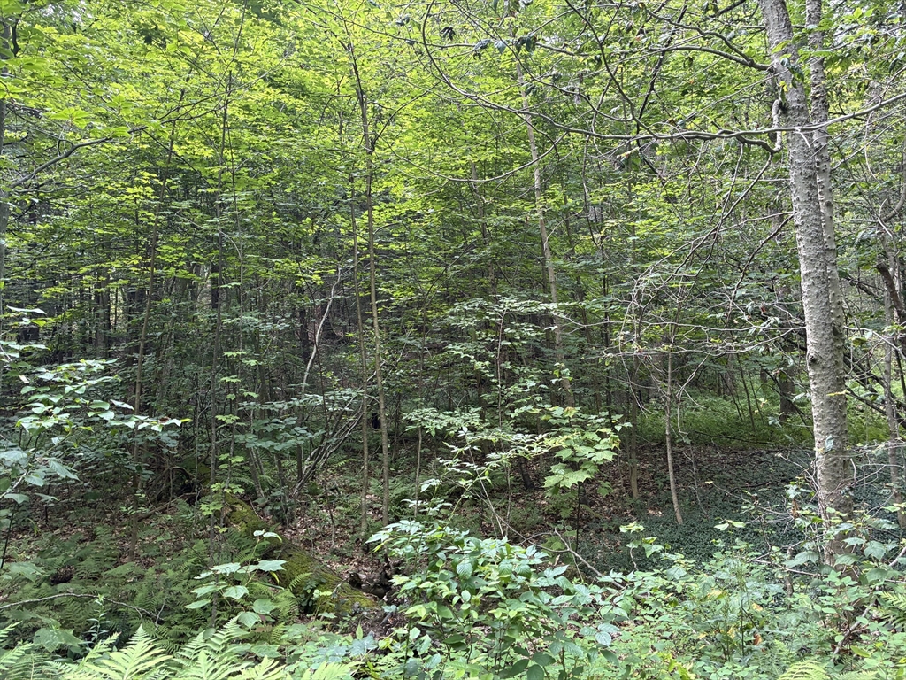 139 Taylor Brook Rd Property Photo 1