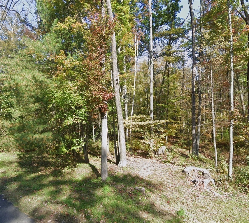 0 Alum Hill Property Photo 1