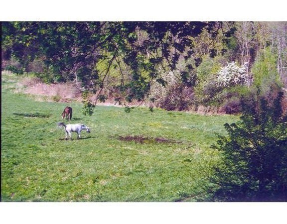 378 Plainfield Rd Property Photo 11