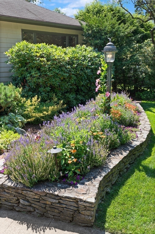 77 Wellesley Rd Property Photo 29