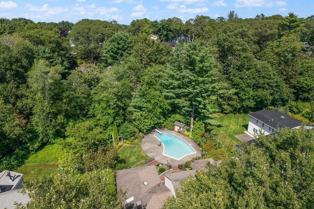 77 Wellesley Rd Property Photo 31