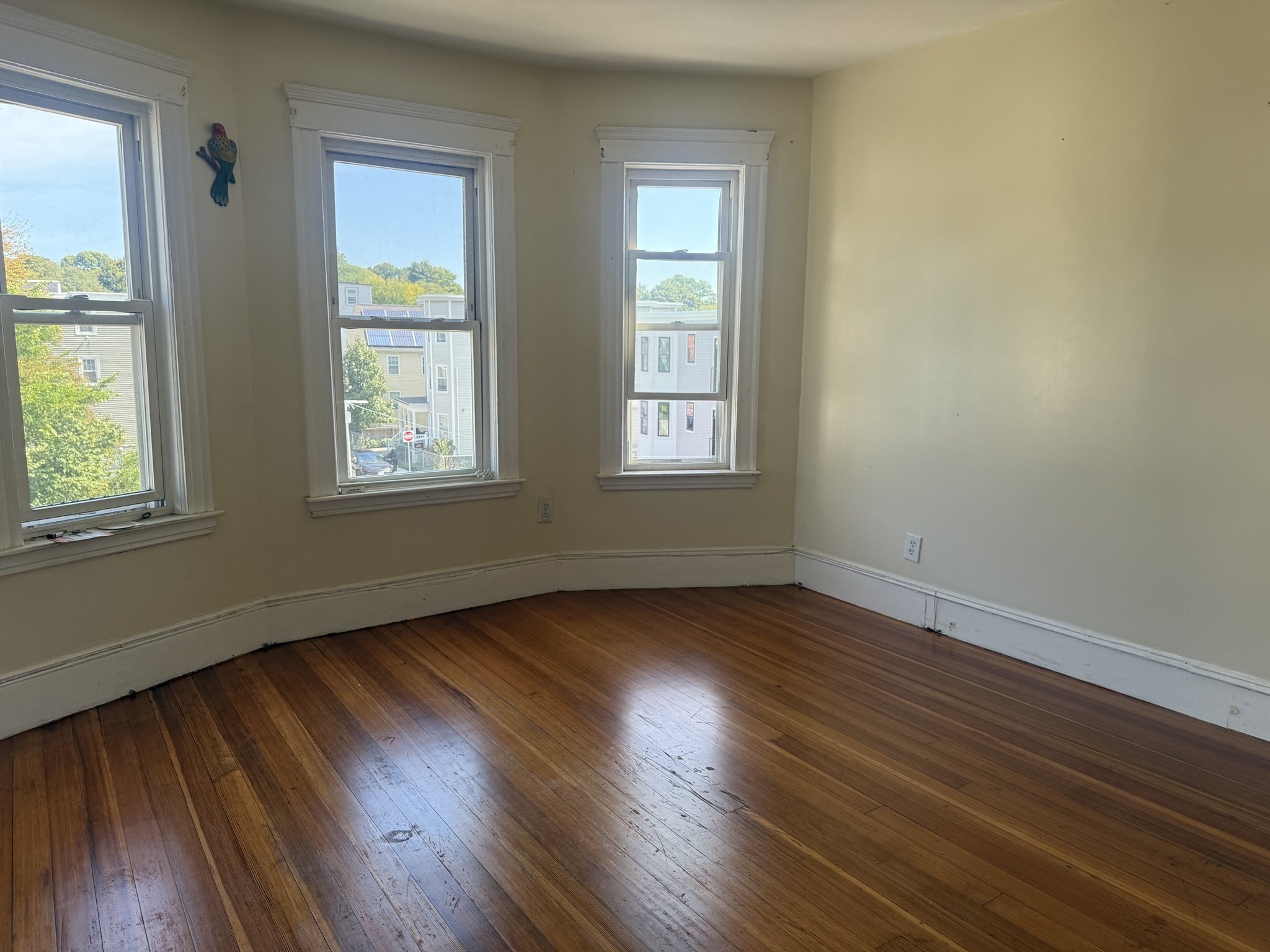 29 Torrey St Property Photo 35