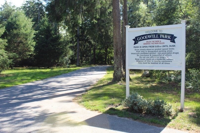 306 Trotting Park Rd Property Photo 41