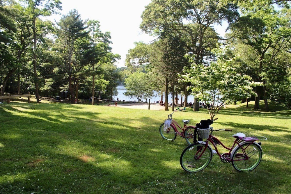 306 Trotting Park Rd Property Photo 42