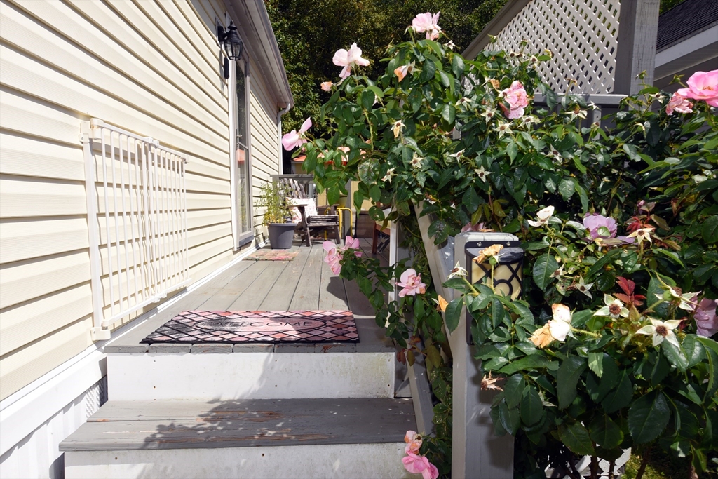 60 Fairview St Property Photo 42