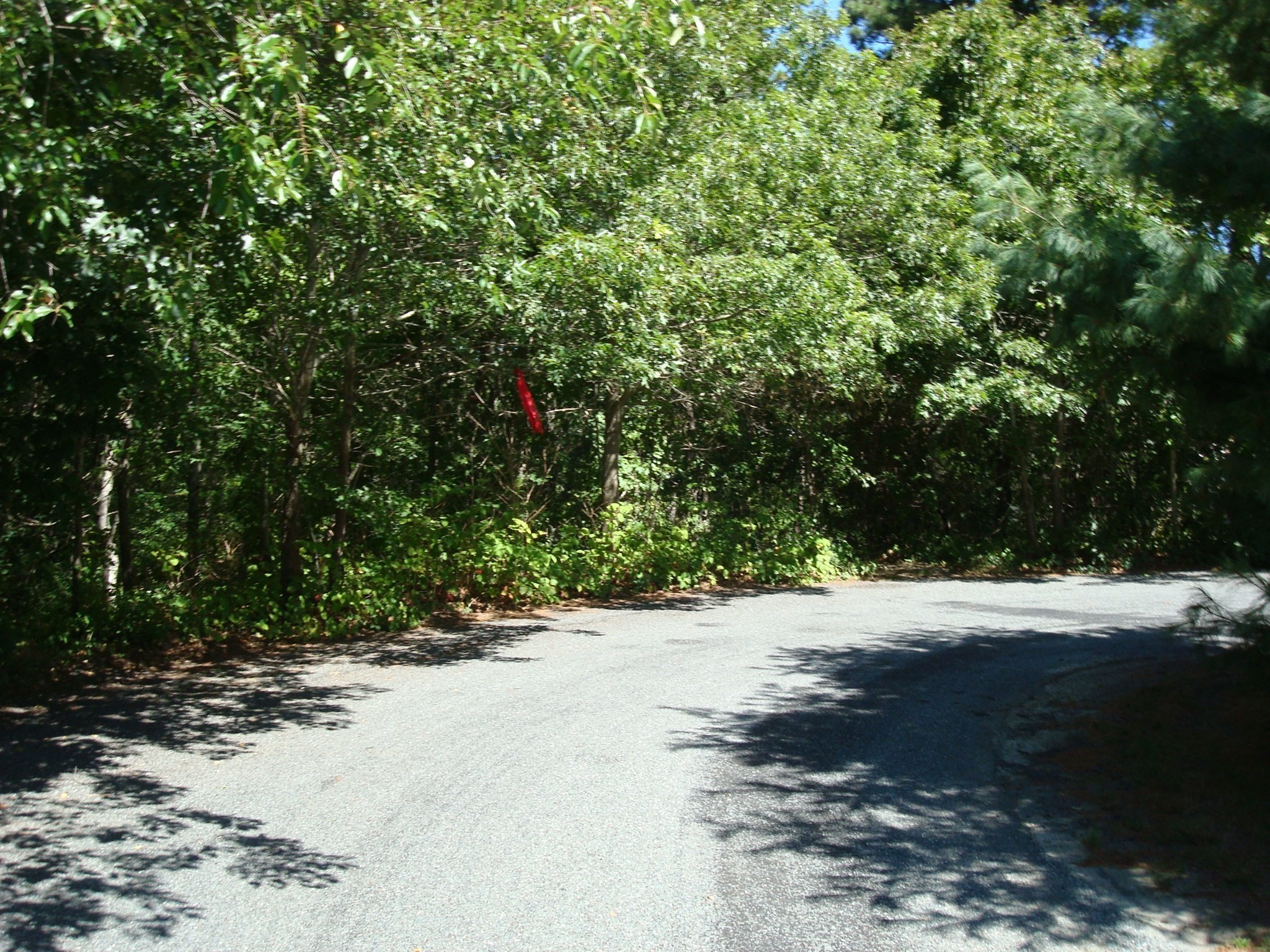 44 Iris Property Photo 4