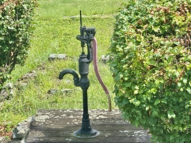 604 Main Road Property Photo 20