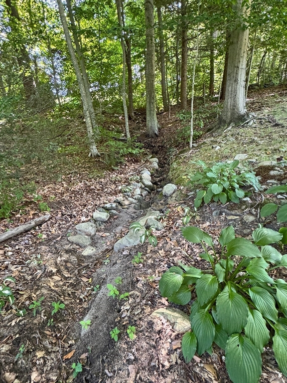 151 Mormon Hollow Road Property Photo 31