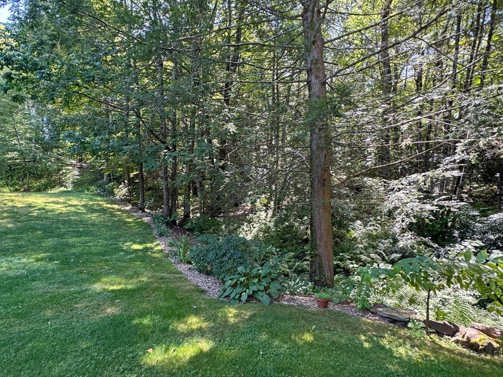 151 Mormon Hollow Road Property Photo 34