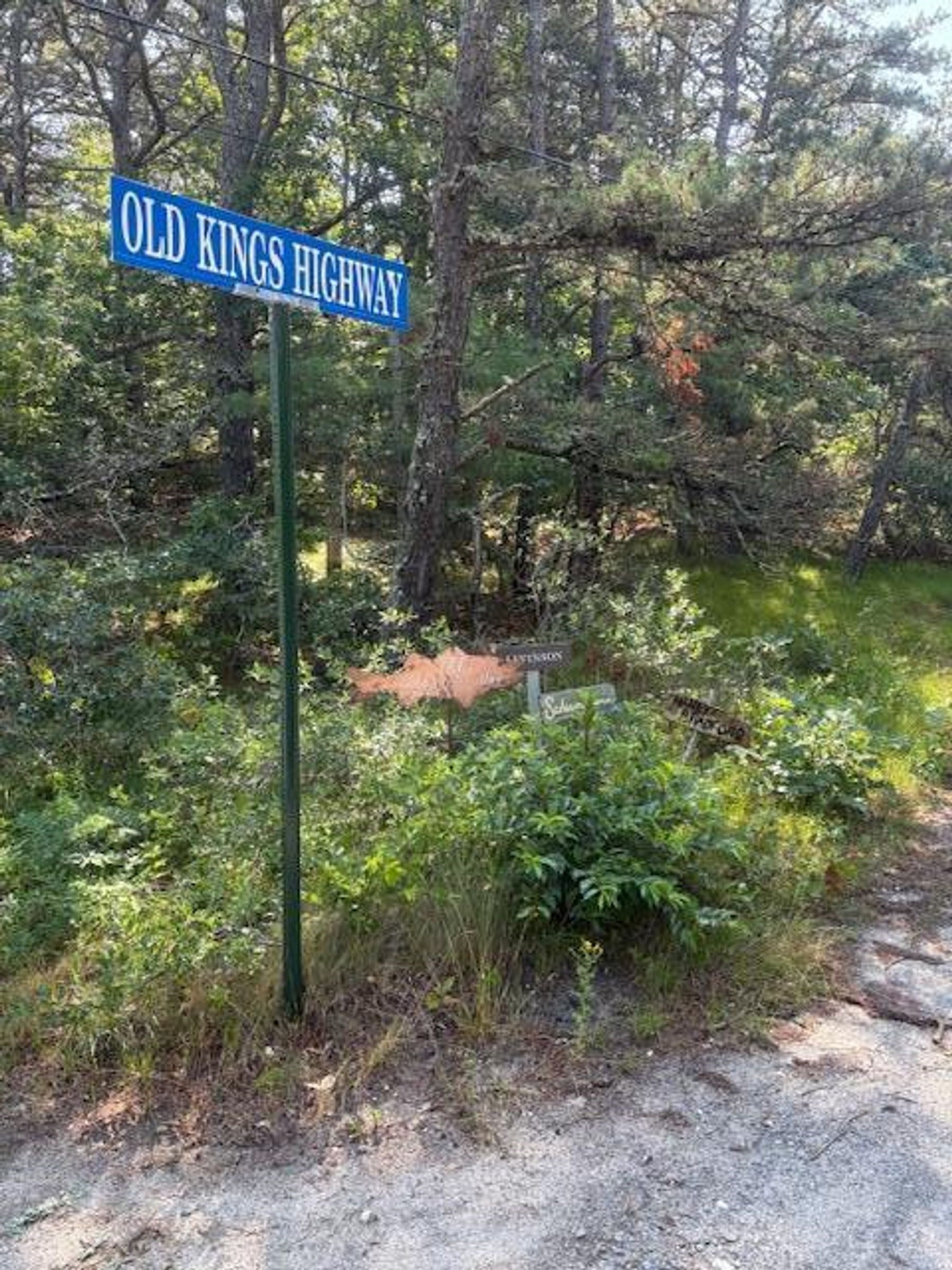 57 Old Kings Hwy Property Photo 3