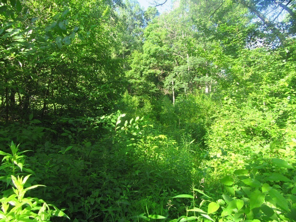 70 Chocolog Property Photo 7