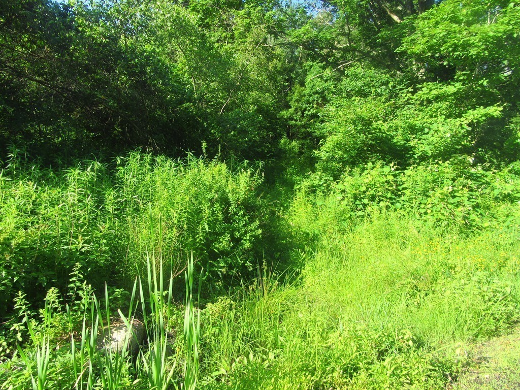 70 Chocolog Property Photo 8