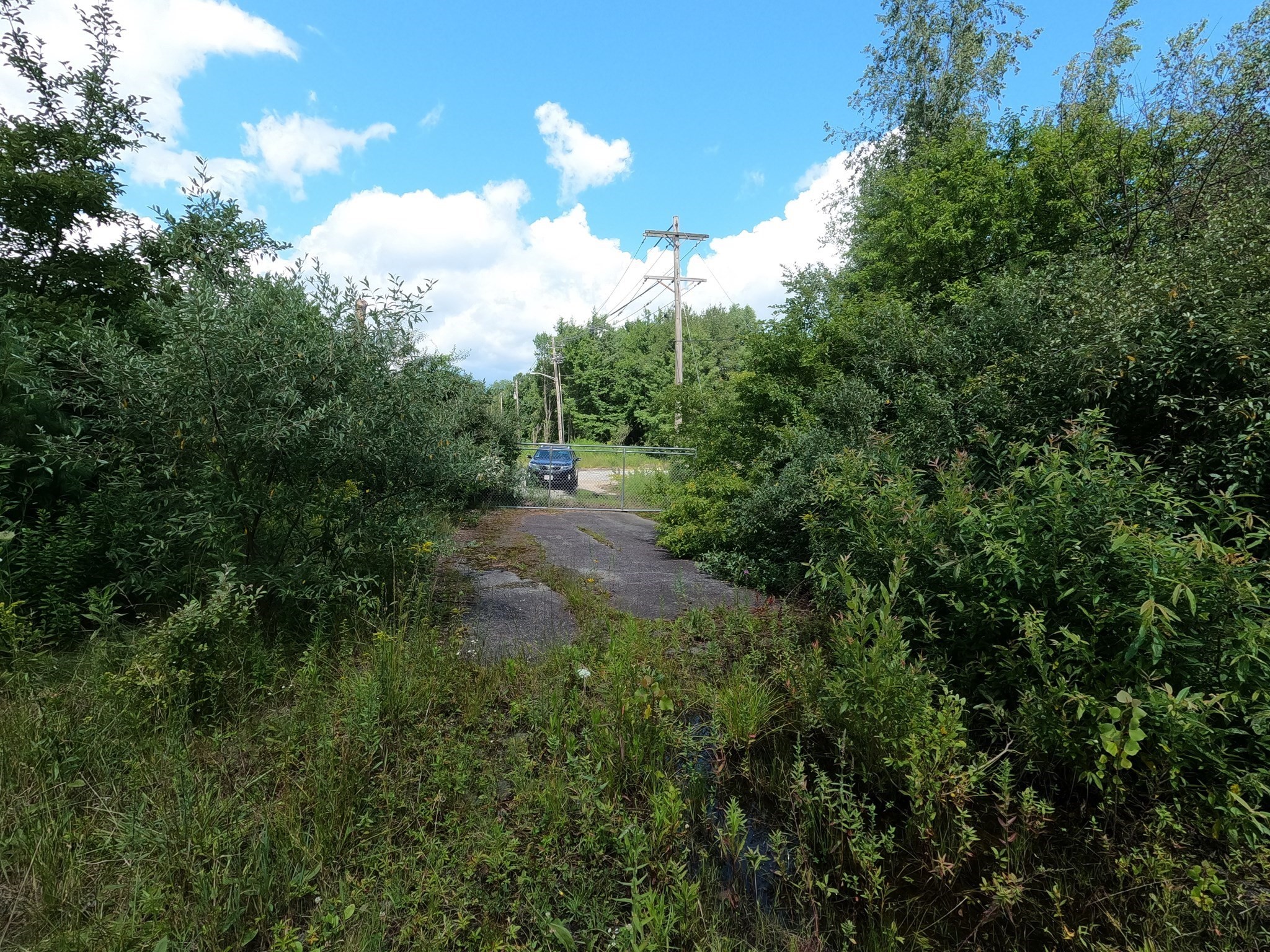 12 Lots For Sale On Mill St Property Photo 3