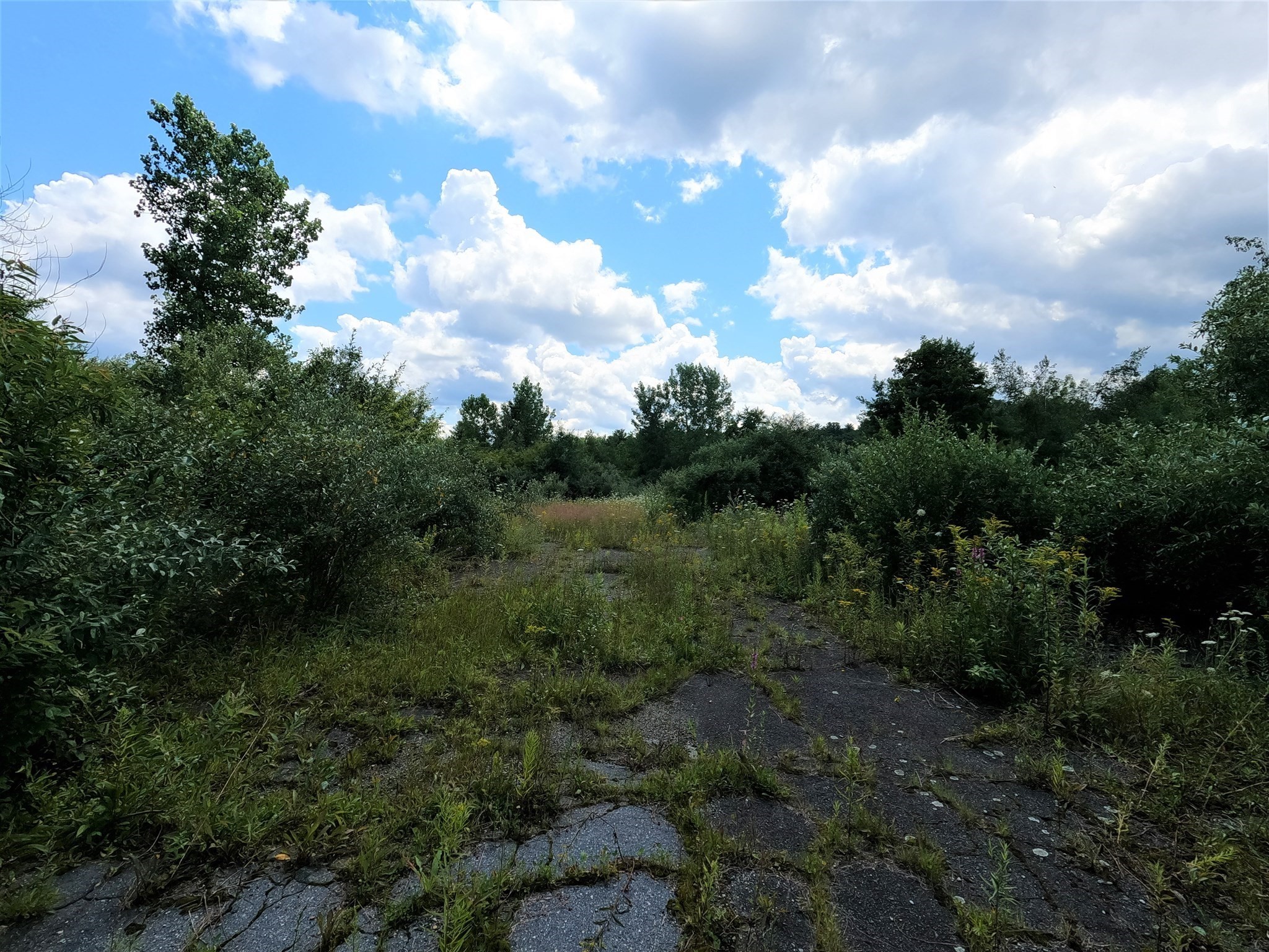 12 Lots For Sale On Mill St Property Photo 4