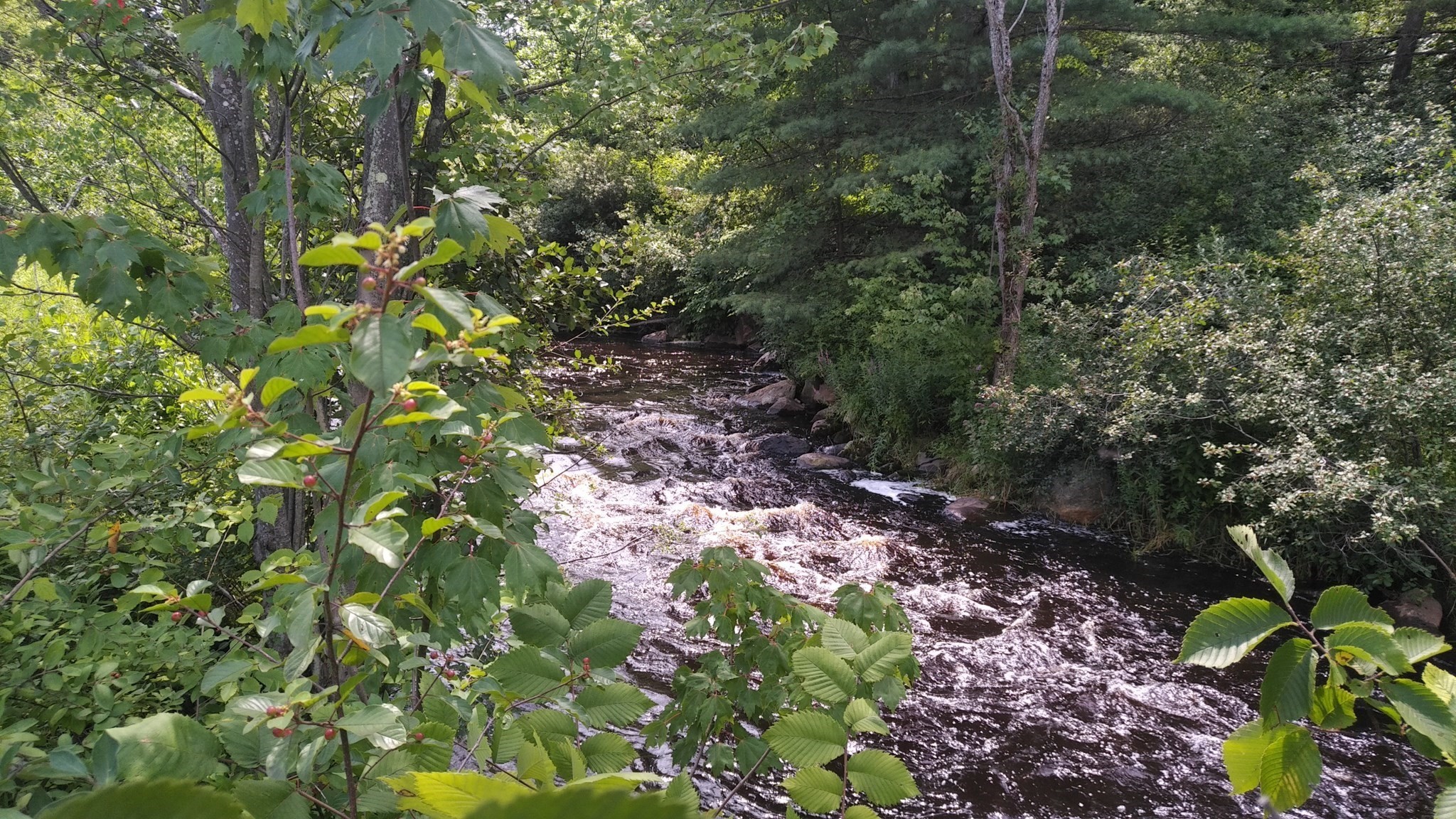 12 Lots For Sale On Mill St Property Photo 6