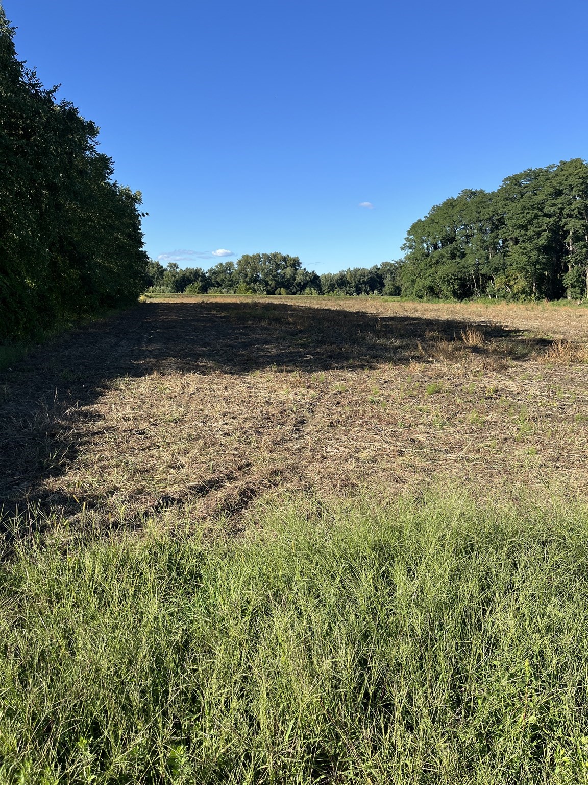 0 North Branch Road Property Photo 1