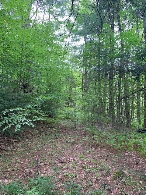 289 Monterey Road Property Photo 19