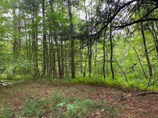 289 Monterey Road Property Photo 20