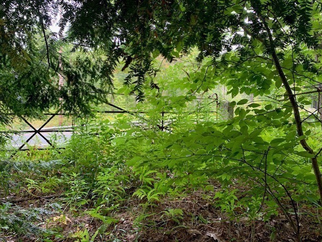 289 Monterey Road Property Photo 22