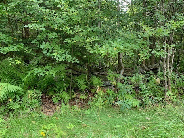 289 Monterey Road Property Photo 25