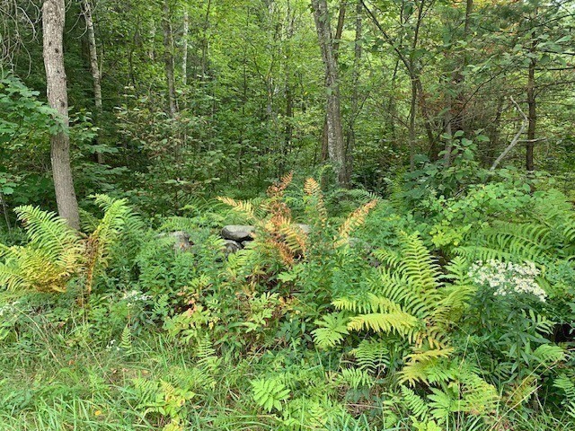 289 Monterey Road Property Photo 26