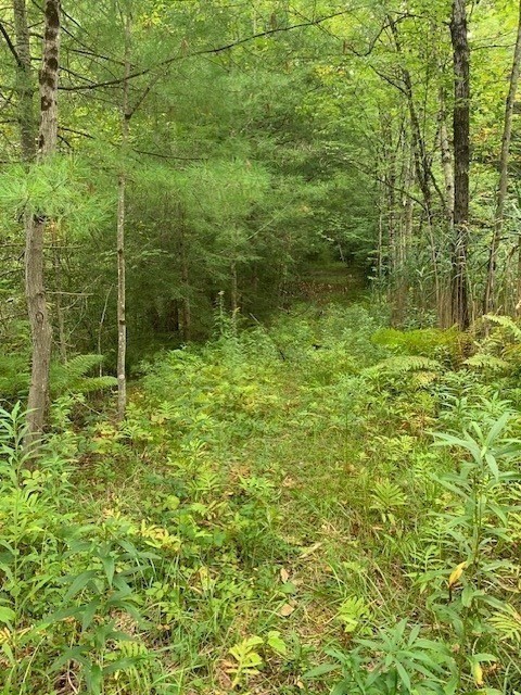 289 Monterey Road Property Photo 28