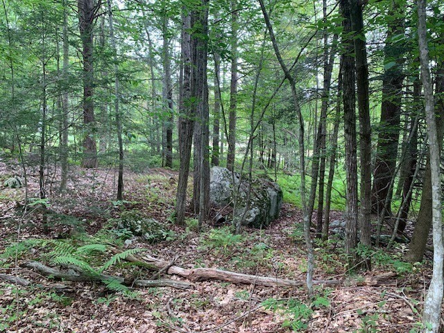 289 Monterey Road Property Photo 31