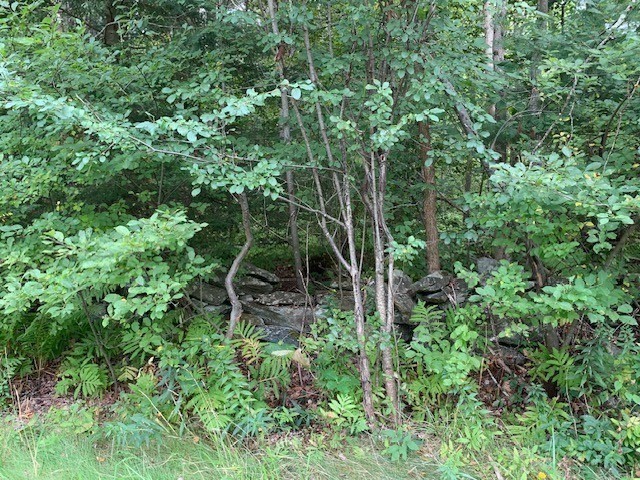 289 Monterey Road Property Photo 37