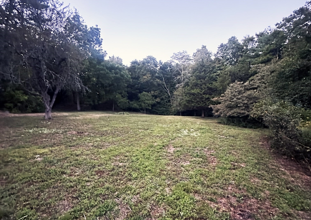 12 Farm Property Photo 1