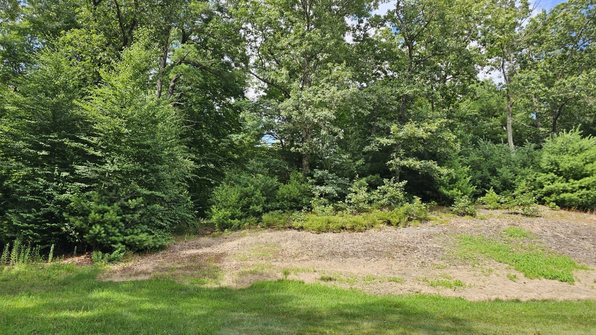 0 Mcgill Ln Property Photo 1