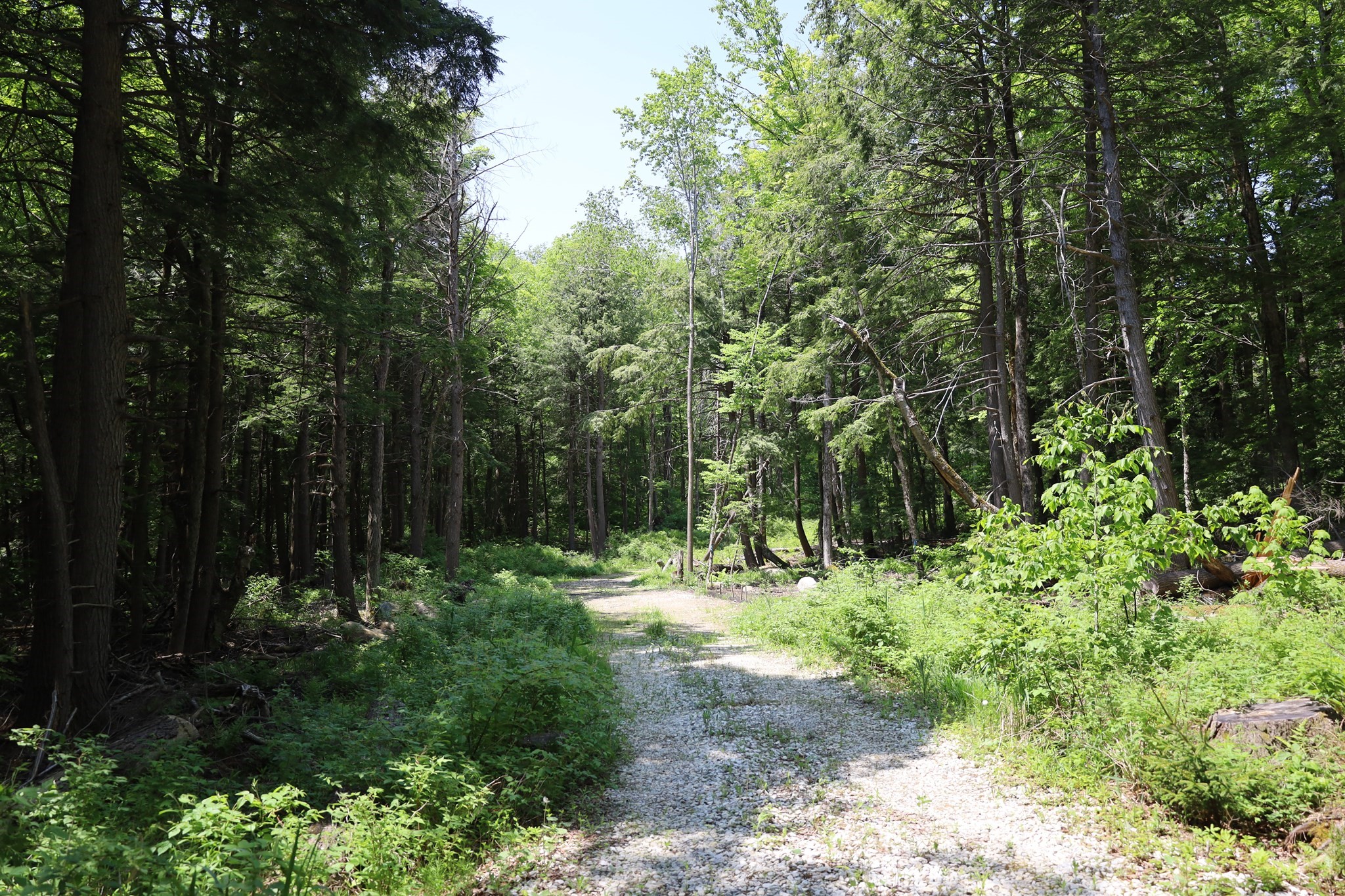 Lot 3 Yokum Pond Rd Property Photo 4