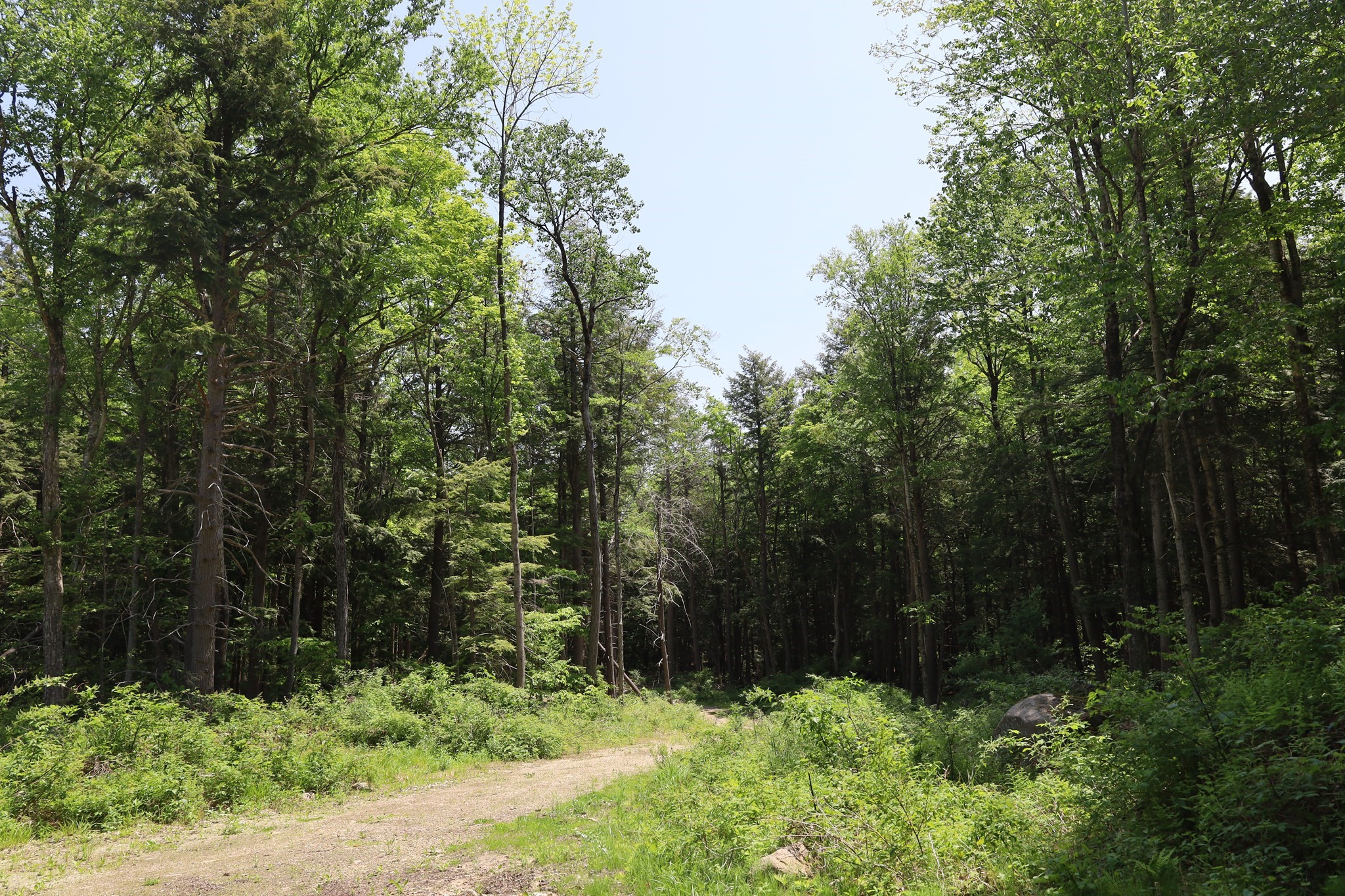 Lot 3 Yokum Pond Rd Property Photo 6