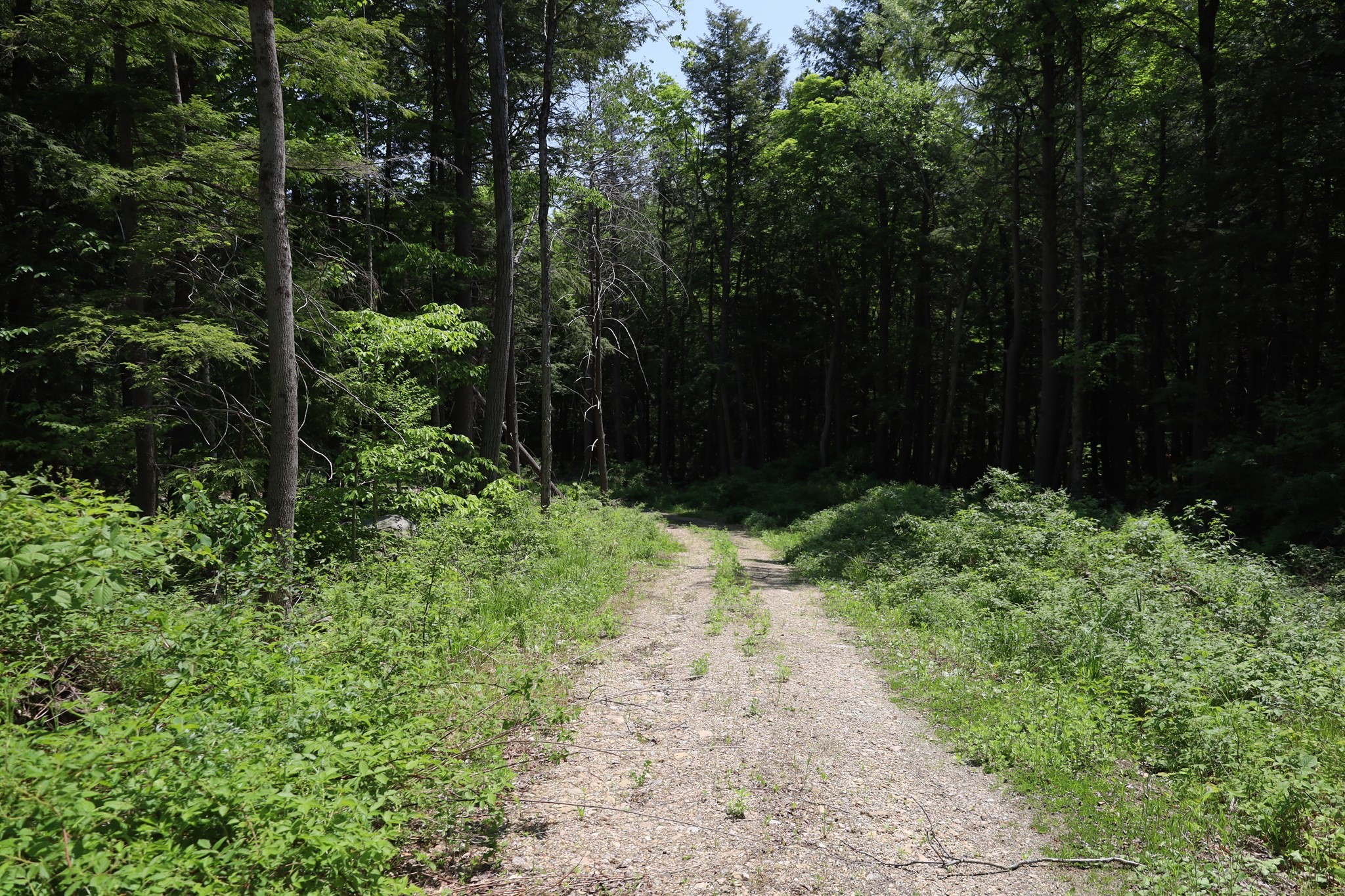 Lot 3 Yokum Pond Rd Property Photo 18