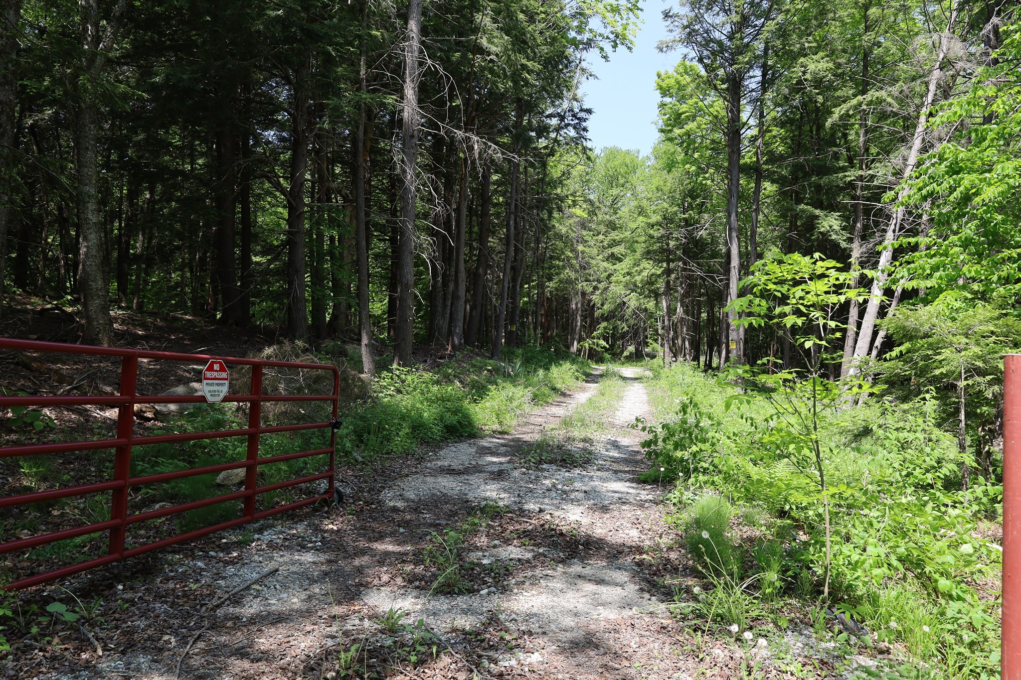 Lot 3 Yokum Pond Rd Property Photo 19