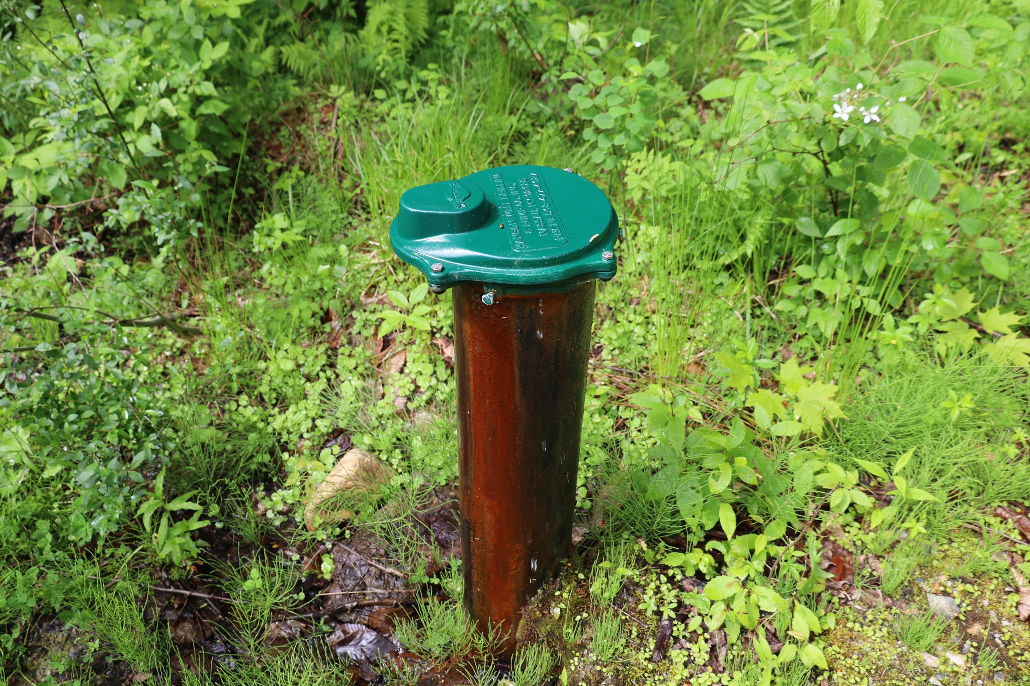 Lot 3 Yokum Pond Rd Property Photo 30
