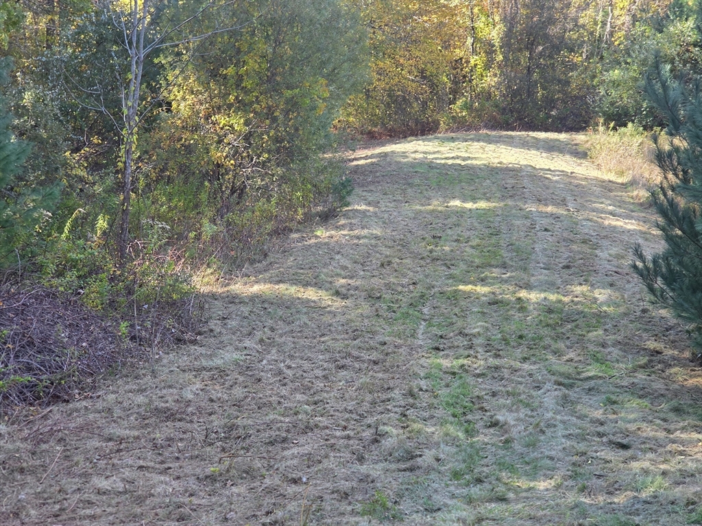 0 Costa Dr Property Photo 1