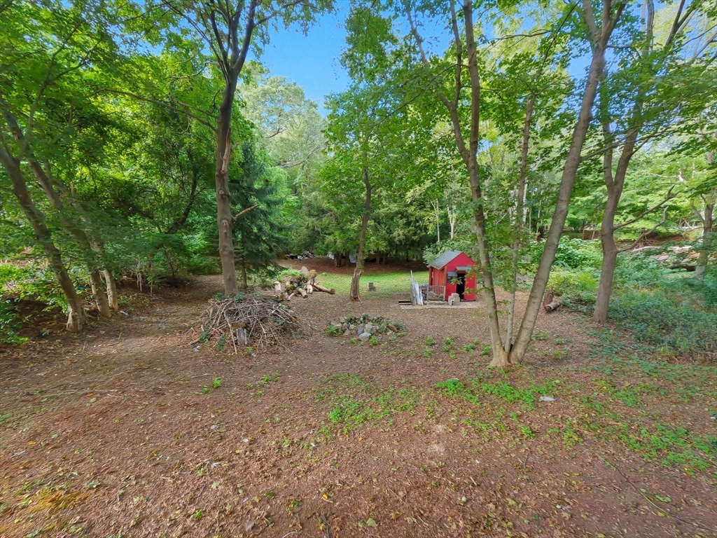 29 Conant Street Property Photo 17