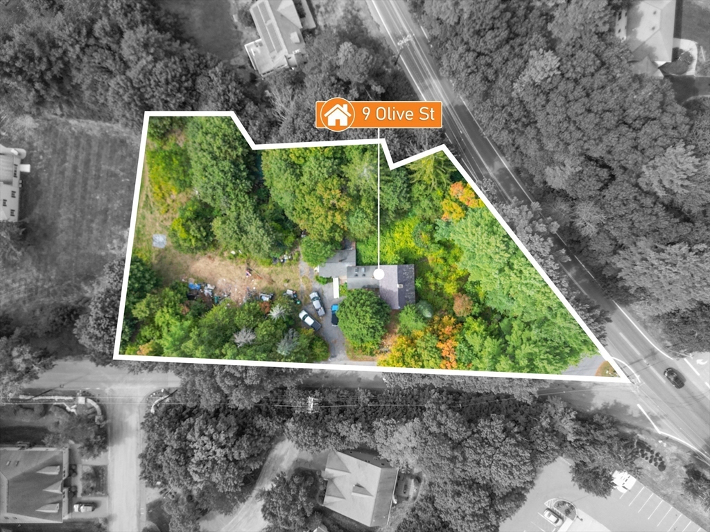 9 Olive St Property Photo 1