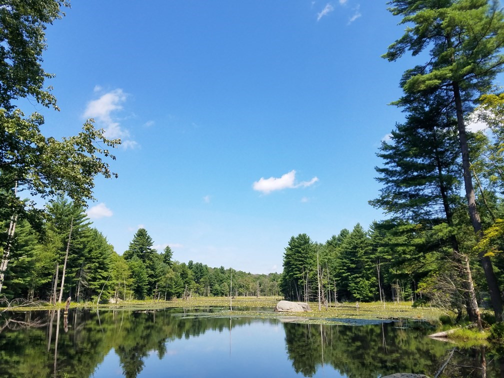 266 Holland Rd Property Photo 1