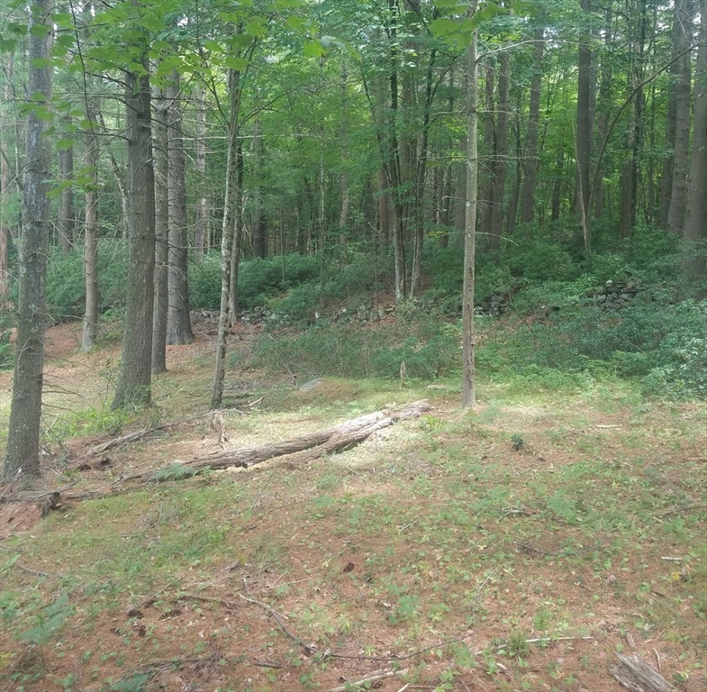 266 Holland Rd Property Photo 12
