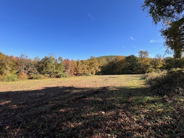 Lot D South Rd Property Photo 12