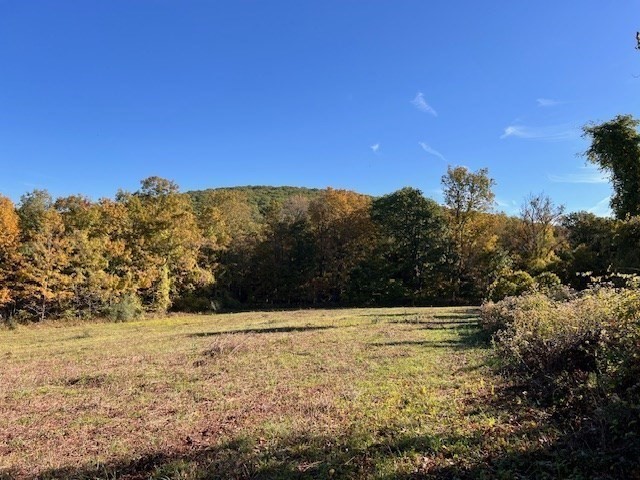 Lot D South Rd Property Photo 13