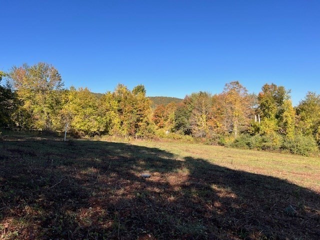 Lot D South Rd Property Photo 14
