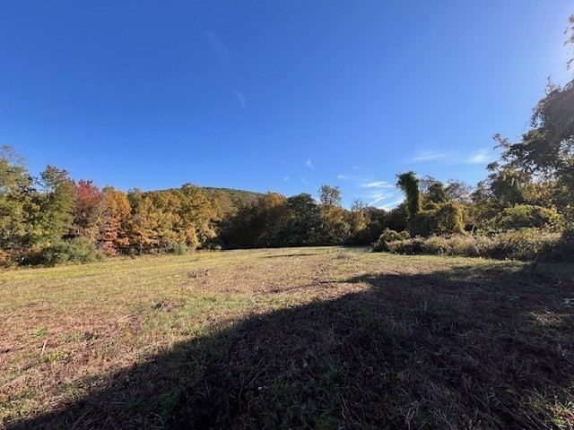 Lot D South Rd Property Photo 15